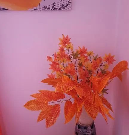 Appartement Caravel Building *